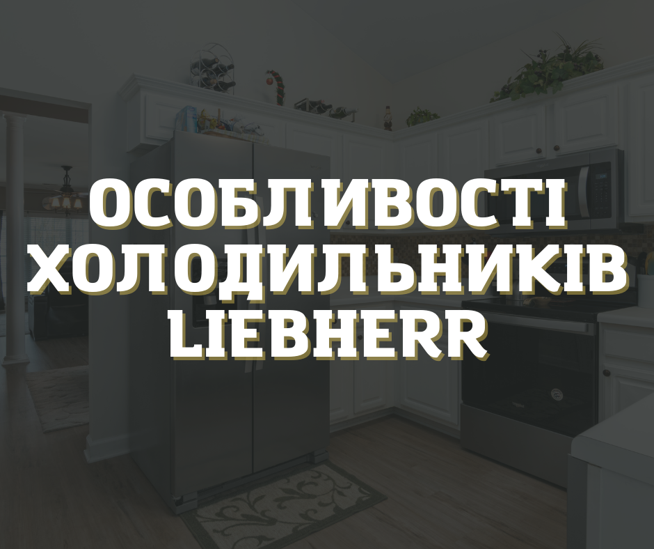 Льодогенератор, зона свіжості та сухе заморожування: особливості холодильників Liebherr
