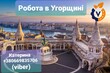 Агентство по трудоустройству за границей Vakula.club Вакансия