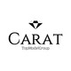 Агентство по трудоустройству за границей Carat 