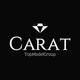 Агентство по трудоустройству за границей Carat Х