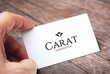 Агентство по трудоустройству за границей Topmodel Carat