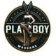 Агентство по трудоустройству за границей Playboy Massage