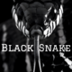 Агентство з працевлаштування за кордоном Black Snake 