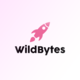 Agencja pracy za granicą WildBytes