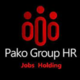 Агентство по трудоустройству за границей Recruter Pako Group Hr