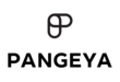 Агентство по трудоустройству за границей Pangeya Group